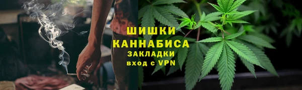 ГАЛЛЮЦИНОГЕННЫЕ ГРИБЫ Горнозаводск