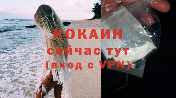крисы Новокубанск