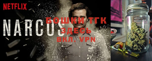 первитин Новозыбков