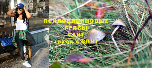 мескалин Новодвинск