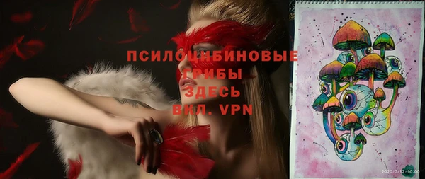 первитин Новозыбков