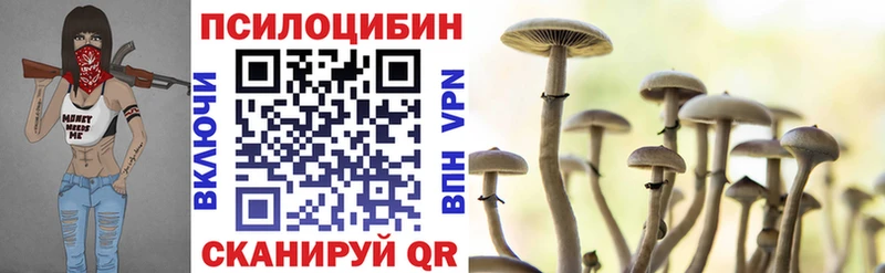 Псилоцибиновые грибы прущие грибы  Пудож 