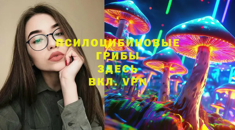 где продают наркотики  Пудож  Псилоцибиновые грибы Psilocybe 